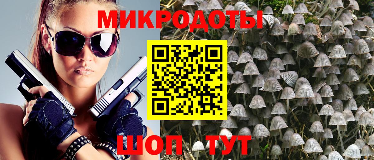 Псилоцибиновые грибы Psilocybe Камышлов